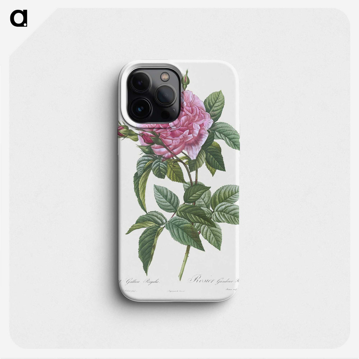 2-57_Pierre-Joseph-Redoute_phone