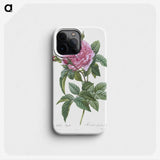2-57_Pierre-Joseph-Redoute_phone