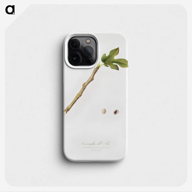 2-57_Pomona-Italiana_phone