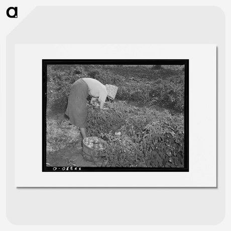 2-57_Russell-Lee_picture