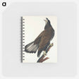 アートメモ帳-White-headed Eagle from Birds of America
 - アメリカの鳥たち Memo.