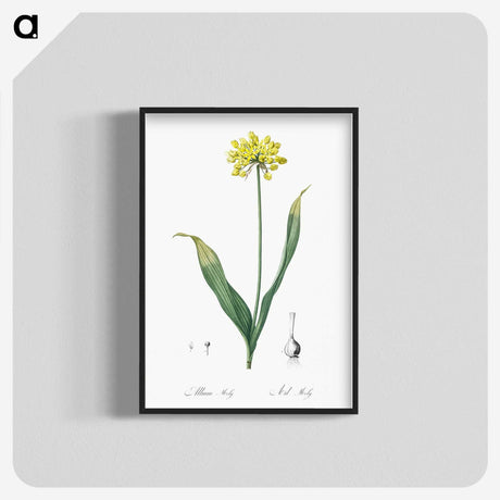 2-57_The-Lilies_blk-crop