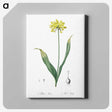 2-57_The-Lilies_canvas
