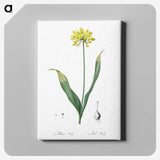 2-57_The-Lilies_canvas