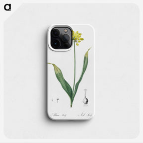 2-57_The-Lilies_phone