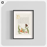 アートポスター-Ringlet, False Jerusalem Cherry, and Milkwort from Mira Calligraphiae Monumenta
 - 書道のお手本 Poster.