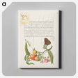 アートパネル-Ringlet, False Jerusalem Cherry, and Milkwort from Mira Calligraphiae Monumenta
 - 書道のお手本 Canvas.