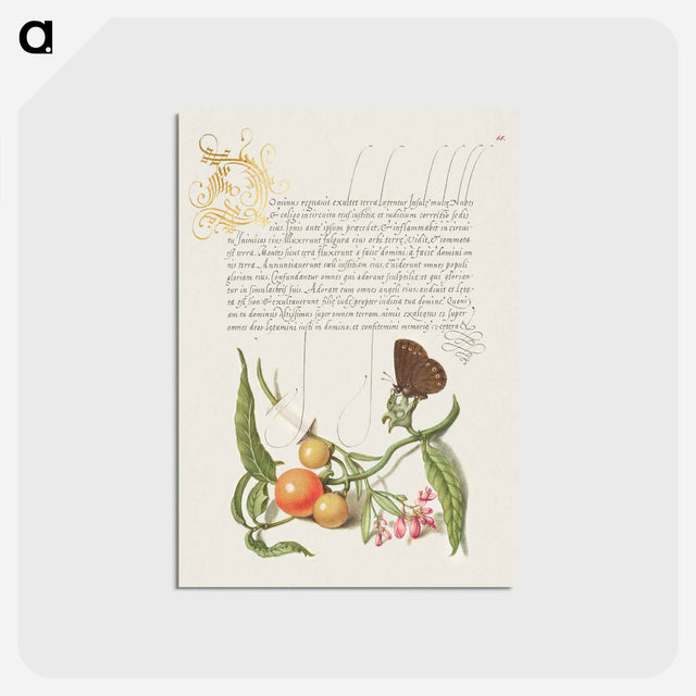 アートポストカード-Ringlet, False Jerusalem Cherry, and Milkwort from Mira Calligraphiae Monumenta
 - 書道のお手本 Postcard.