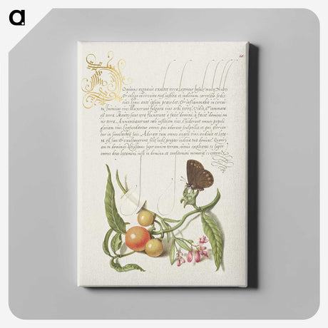 2-57_The-Model-Book-of-Calligraphy_canvas