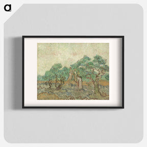 アートポスター-The Olive Orchard - フィンセント ファン ゴッホ Poster.