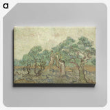 2-57_Vincent-van-Gogh_canvas