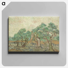 アートパネル-The Olive Orchard - フィンセント ファン ゴッホ Canvas.