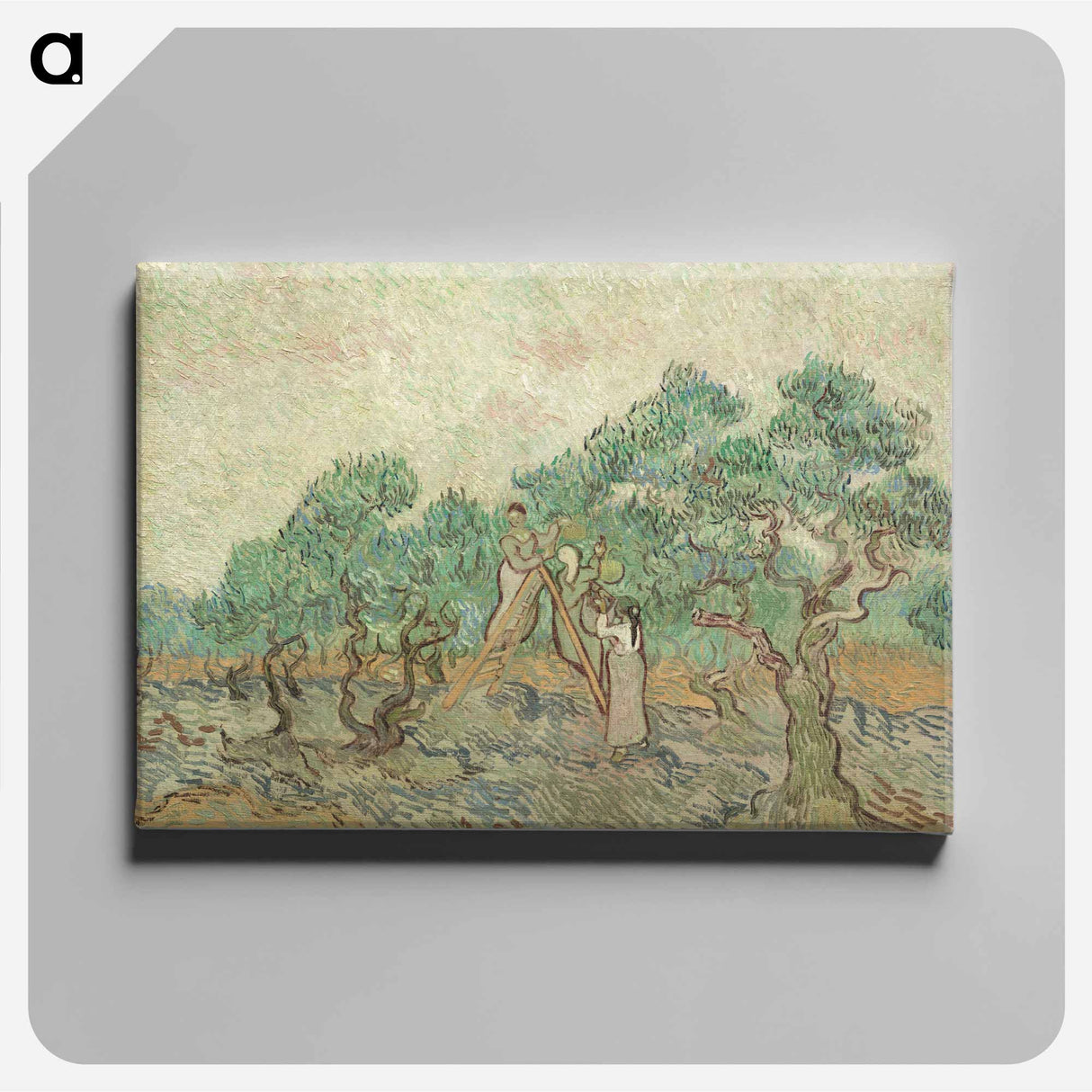 The Olive Orchard - Vincent van Gogh Canvas.