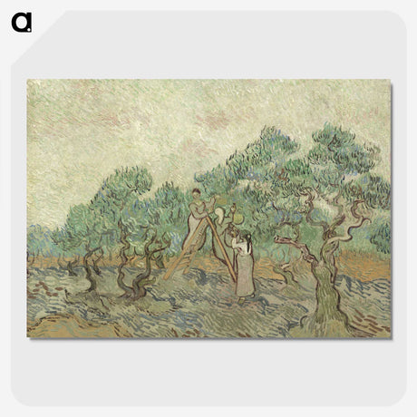 2-57_Vincent-van-Gogh_picture-crop