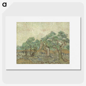 2-57_Vincent-van-Gogh_picture