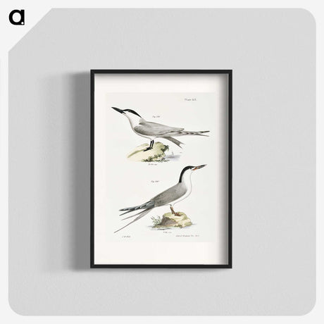 2-57_Zoology-of-New-York_blk