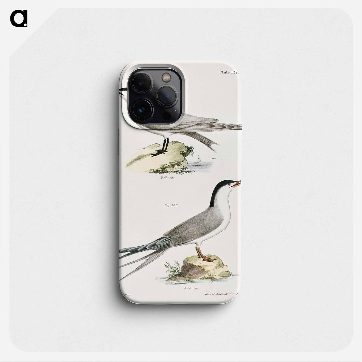 Marsh Tern (Sterna anglica) 280. Roseate Tern (Sterna dougalli) illustration from Zoology of New York by - ニューヨークの動物学 Phone Case.