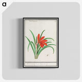 2-58_Anselmus-Boetius-de-Boodt_blk-crop