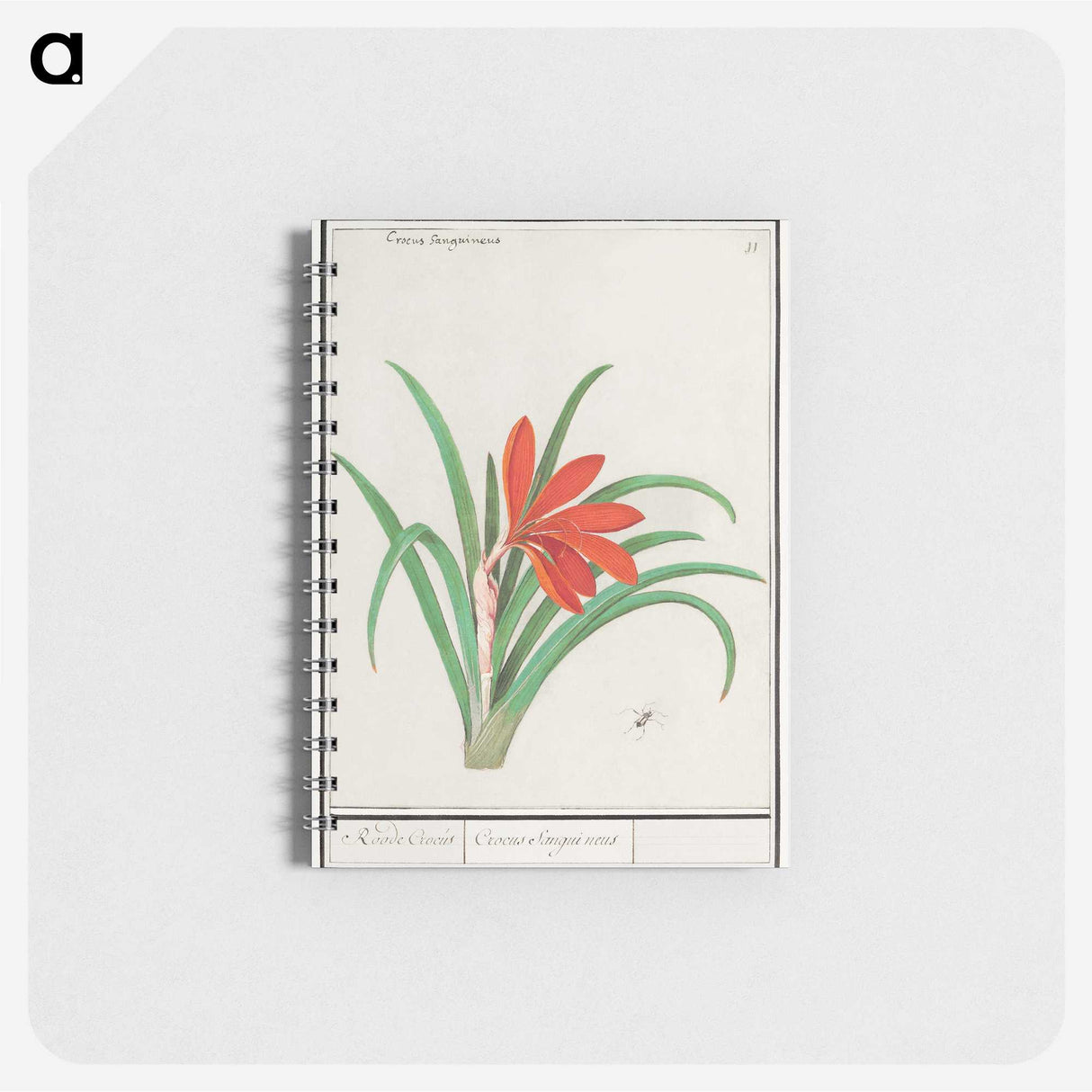 2-58_Anselmus-Boetius-de-Boodt_memo