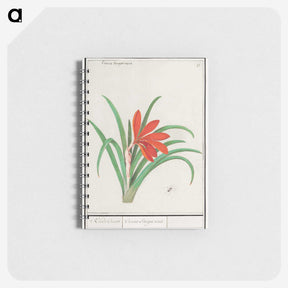 2-58_Anselmus-Boetius-de-Boodt_memo