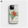 2-58_Anselmus-Boetius-de-Boodt_phone
