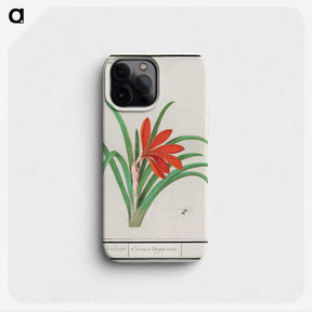 2-58_Anselmus-Boetius-de-Boodt_phone