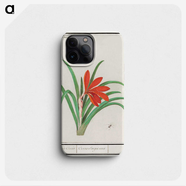2-58_Anselmus-Boetius-de-Boodt_phone