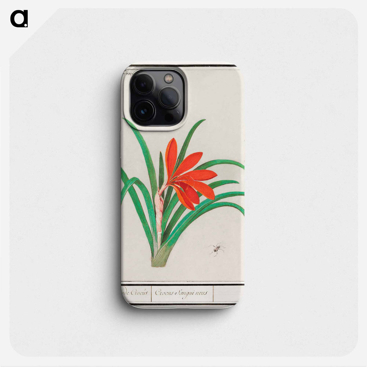 Red crocus - アンセルムス ボエティウス デ ブート Phone Case.