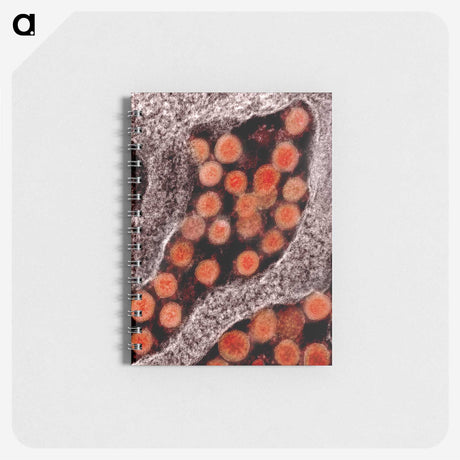2-58_COVID-19_memo
