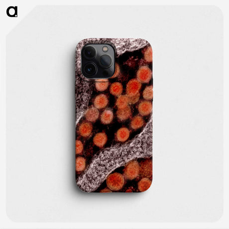 2-58_COVID-19_phone
