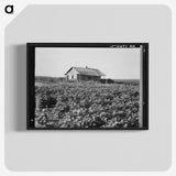 2-58_Dorothea-Lange_blk-crop