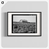 2-58_Dorothea-Lange_blk