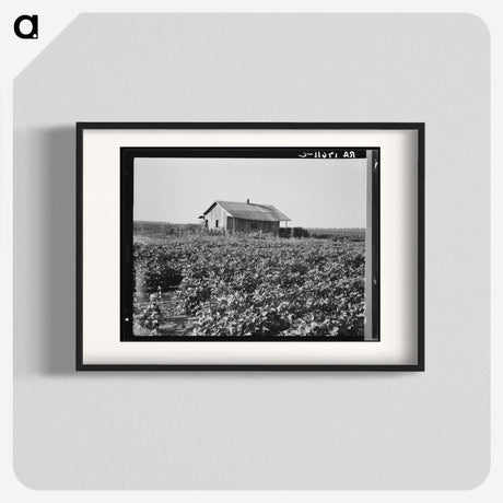 2-58_Dorothea-Lange_blk