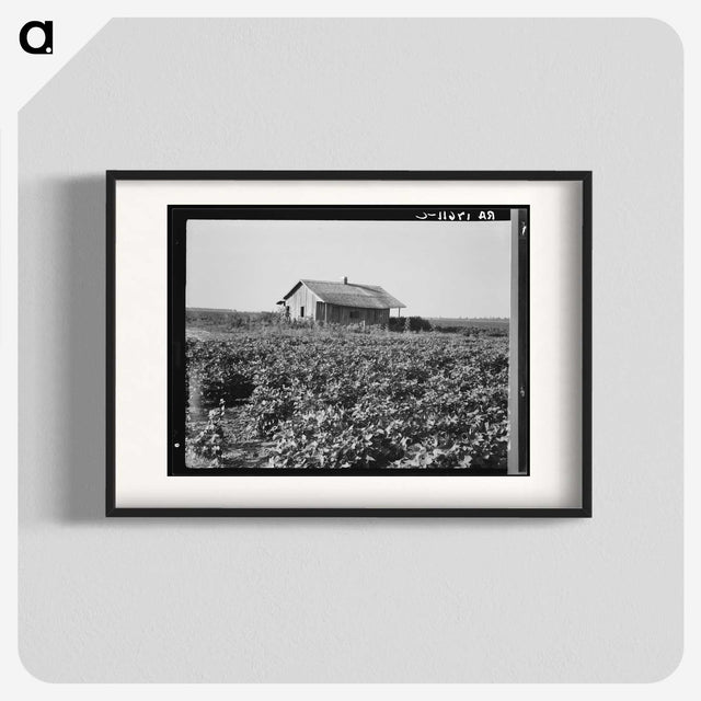 2-58_Dorothea-Lange_blk