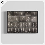 2-58_Eadweard-Muybridge_blk-crop