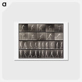アートポストカード-Ascending Step
 - エドワード マイブリッジ Postcard.