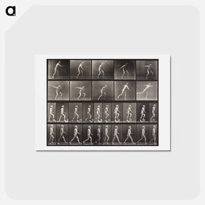 アートポストカード-Ascending Step
 - エドワード マイブリッジ Postcard.