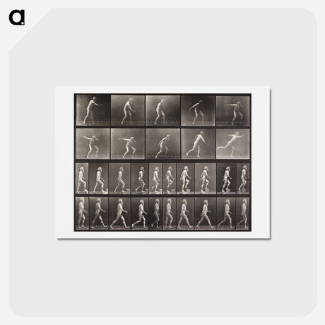 アートポストカード-Ascending Step
 - エドワード マイブリッジ Postcard.