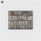 2-58_Eadweard-Muybridge_memo