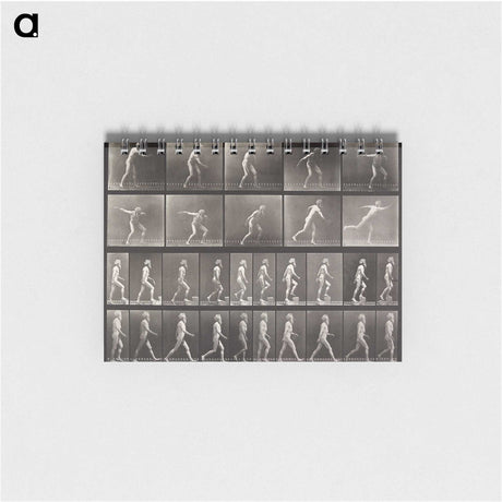 2-58_Eadweard-Muybridge_memo