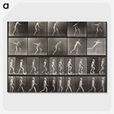 2-58_Eadweard-Muybridge_picture-crop
