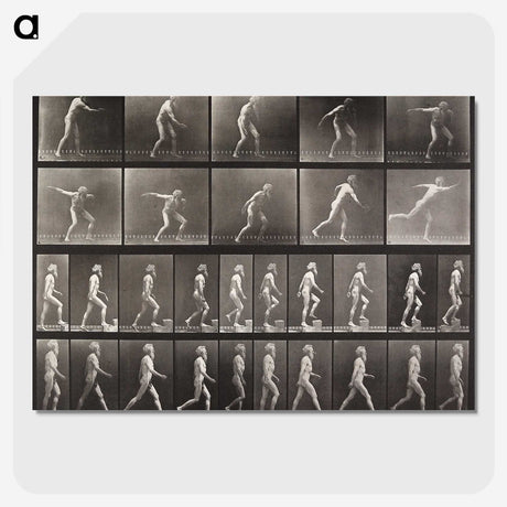 2-58_Eadweard-Muybridge_picture-crop