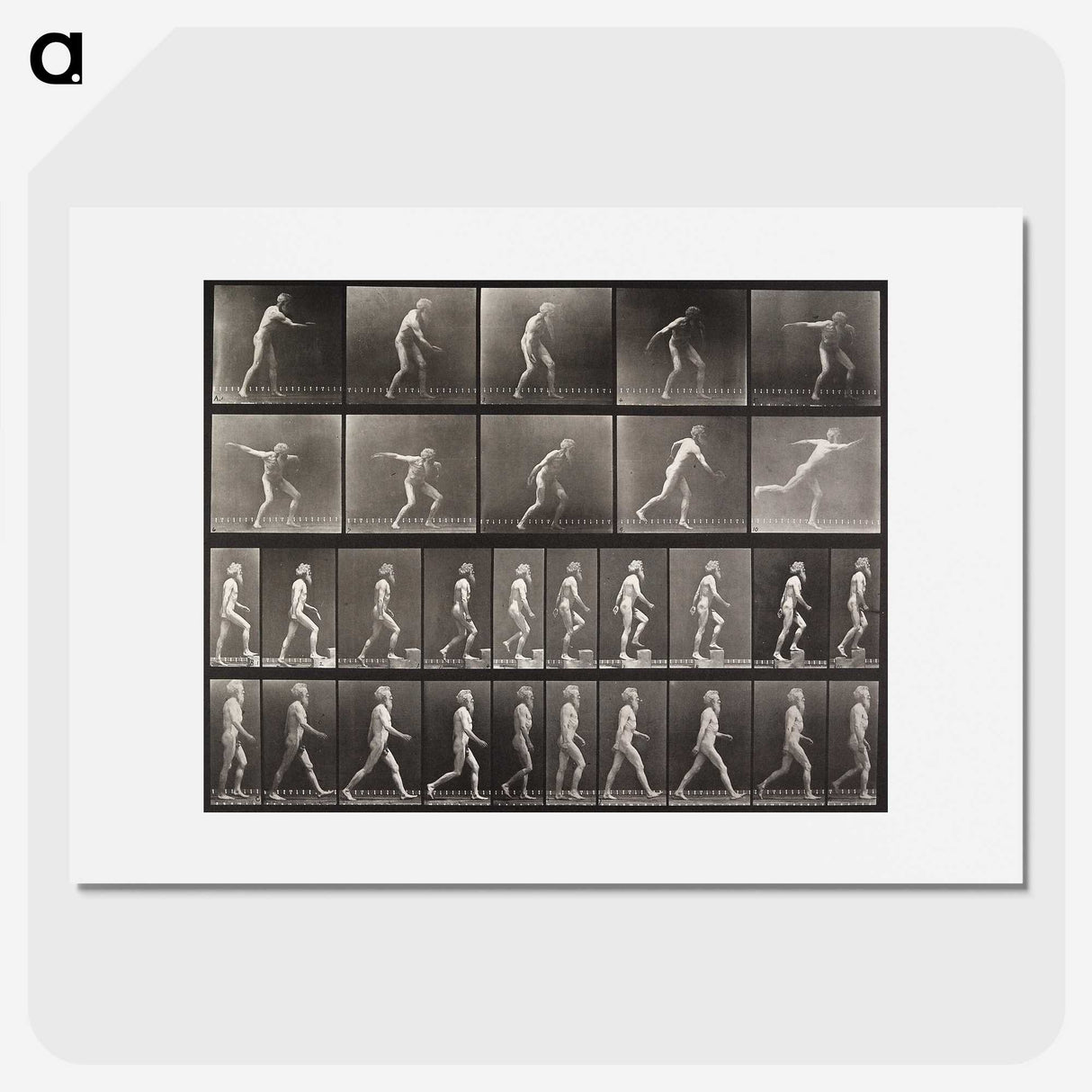 2-58_Eadweard-Muybridge_picture