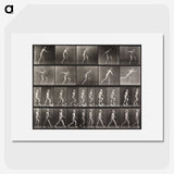 2-58_Eadweard-Muybridge_picture