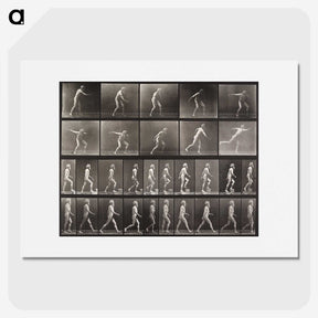 2-58_Eadweard-Muybridge_picture