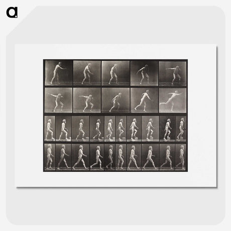 2-58_Eadweard-Muybridge_picture
