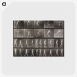 2-58_Eadweard-Muybridge_postcard