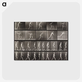 2-58_Eadweard-Muybridge_postcard