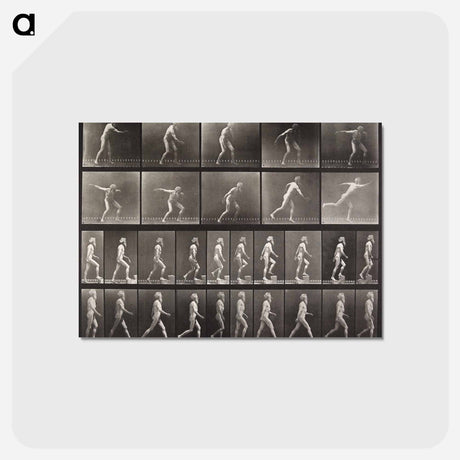 アートポストカード-Ascending Step
 - エドワード マイブリッジ Postcard.