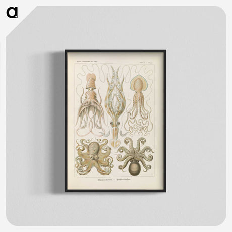 2-58_Ernst-Haeckel_blk-crop